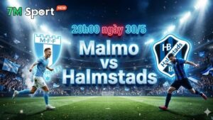 Phong độ và thực lực của Malmo trước giờ bóng lăn
